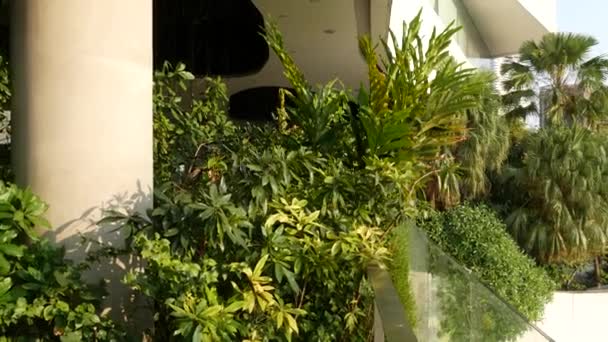 Projeto de shopping em verde conceito ambientalmente amigável. Jardim pendurado ao ar livre em terraços. Arquitetura ecológica futurista. Cidade moderna — Vídeo de Stock