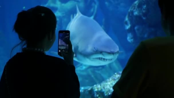 BANGKOK, TAILANDIA - 18 DICIEMBRE 2018 Turistas anónimos tomando fotos de tiburones. Vista trasera de dos personas usando un teléfono inteligente para tomar una foto de tiburón dentro del magnífico acuario enorme de Siam Paragon. — Vídeos de Stock