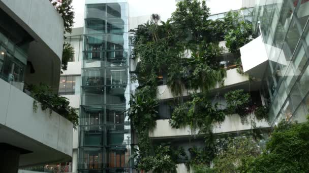 BANGKOK, THAILAND - 18 DECEMBER, 2018 The Emquartier - luxury shopping center. Design of mall in green environmentally friendly concept. Open air hanging garden on terraces and waterfall. — Stock Video