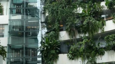 BANGKOK, THAILAND - 18 ARALIK, 2018 The Emquartier - Lüks alışveriş merkezi. Çevre dostu yeşil bir alışveriş merkezi tasarımı. Teraslarda ve şelalelerde asılı açık hava bahçesi.