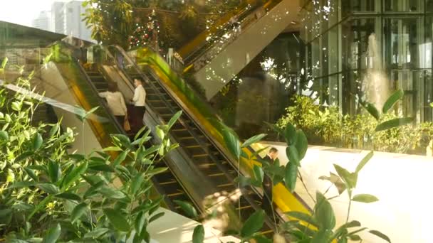 BANGKOK, THAILAND - 18 DECEMBER, 2018 Emquartier luksus indkøbscenter. Design af indkøbscenter, grøn miljøvenligt koncept. hængende haven futuristisk øko arkitektur. Moderne by. Eskalator – Stock-video