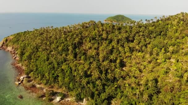 Luchtfoto drone uitzicht kleine Koh Ma eiland, Ko Phangan Thailand. Exotische kust panoramisch landschap, Mae Haad strand, zomerdag. Zandpad tussen koralen. Levendige zeegezicht, berg kokosnoot palmen van boven. — Stockvideo