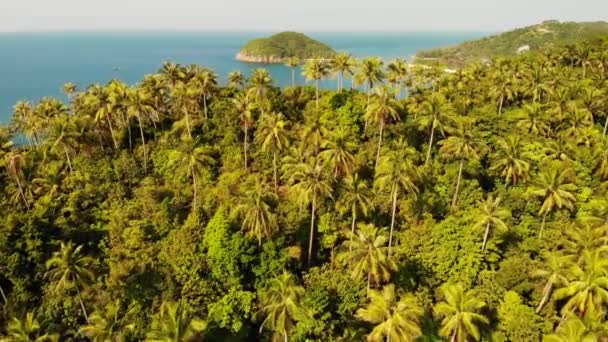 Luchtfoto drone uitzicht kleine Koh Ma eiland, Ko Phangan Thailand. Exotische kust panoramisch landschap, Mae Haad strand, zomerdag. Zandpad tussen koralen. Levendige zeegezicht, berg kokosnoot palmen van boven. — Stockvideo