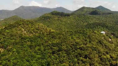 Adada tropikal orman. Şaşırtıcı tropik adanın dağ sırtında yeşil orman Fantastik drone görünümü. Yağmur ormanlarının egzotik cennet panoraması.