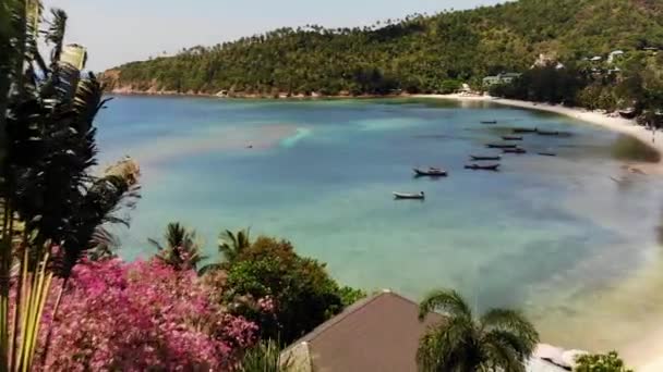 Boten in de buurt van kust van het eiland. Traditionele kleurrijke vissersboten drijven op rustig blauw water in de buurt van witte zandkust van tropische exotische paradijs eiland. Uitzicht door groene palmbladeren. Koh Phangan — Stockvideo