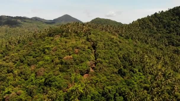 Forêt tropicale sur l'île. Fantastique vue sur drone de jungle verte sur la crête de montagne de l'île tropicale étonnante. Paradis exotique panorama de la forêt tropicale . — Video