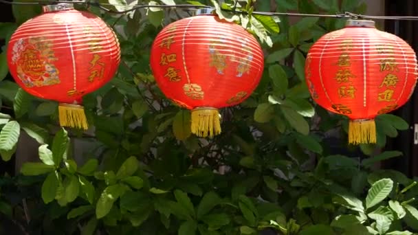 Linternas de papel en un edificio de mala calidad. Linternas de papel rojo colgando en el techo del edificio del templo de hormigón envejecido en el día soleado entre la vegetación jugosa en el país oriental. decoración tradicional — Vídeos de Stock