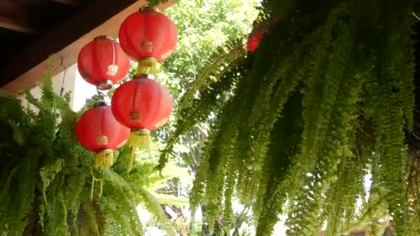 Linternas de papel en un edificio de mala calidad. Linternas de papel rojo colgando en el techo del edificio del templo de hormigón envejecido en el día soleado entre la vegetación jugosa en el país oriental. decoración tradicional — Vídeo de stock