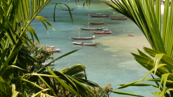 Boten in de buurt van kust van het eiland. Traditionele kleurrijke vissersboten drijven op rustig blauw water in de buurt van witte zandkust van tropische exotische paradijs eiland. Uitzicht door groene palmbladeren. Koh Phangan — Stockvideo