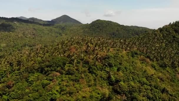 Bosque tropical en la isla. Fantástica vista del dron de la selva verde en la cresta de la montaña de la isla tropical increíble. Paraíso exótico panorama de selva tropical . — Vídeos de Stock