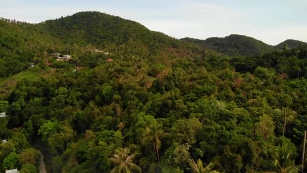 Villas en la cordillera verde. Majestuosas vistas al dron de villas de lujo ubicadas en la cordillera verde en la isla exótica paraíso tropical . — Vídeo de stock