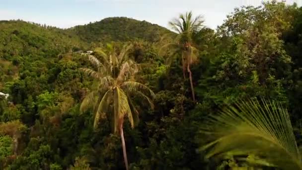 Villas on green mountain ridge. Majestic drone view of luxury villas located on green mountain range on tropical paradise exotic island. — Stock Footage Villas on green mountain ridge. Majestic drone view of luxury villas located on green mountain range on tropical paradise exotic island. Royalty Free Stock Video