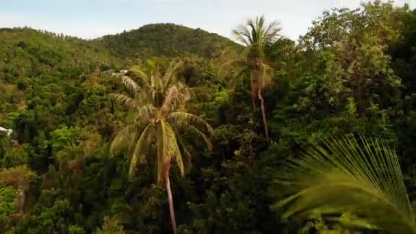 Ville sul crinale verde della montagna. Majestic drone vista di ville di lusso situate sulla catena montuosa verde sul paradiso tropicale isola esotica . — Video Stock