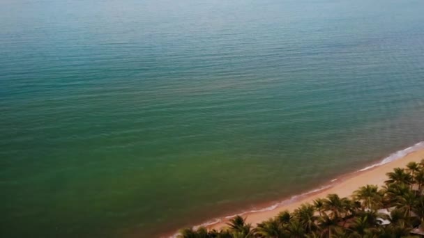 Roofs of villas amidst palms. Drone view of red thai style roofs of luxury villas hiding amidst tropical green palms on paradise shore of exotic island near sea or ocean. — Stock Video