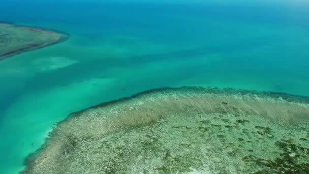 素晴らしいサンゴ礁の眺め。熱帯の島の海岸近くの静かな青い海と美しいサンゴ礁の絵のように美しいドローンビュー。パラダイス環礁 — ストック動画