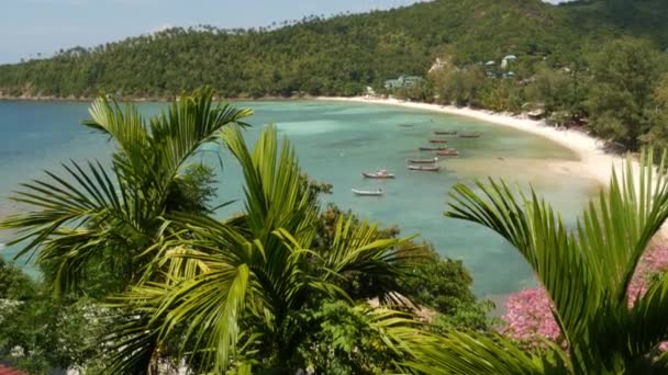 Bateaux près du rivage de l'île. Navires de pêche traditionnels colorés flottant sur l'eau bleue calme près de la côte de sable blanc de l'île exotique tropicale paradisiaque. Vue à travers les feuilles de palmier vert. Koh Phangan