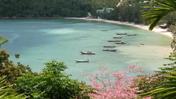 Barcos cerca de la costa de la isla. Barcos pesqueros coloridos tradicionales flotando en aguas azules tranquilas cerca de la costa de arena blanca de la isla tropical exótica paradisíaca. Vista a través de hojas de palma verde. Koh Phangan. — Vídeos de Stock