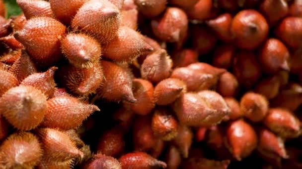 Φρούτα και λαχανικά σε ρουστίκ πάγκο. Ποικιλία νωπών ώριμων φρούτων και λαχανικών που διατίθενται σε ρουστίκ ανατολίτικο πάγκο στην αγορά. Κόκκινη Σαλάκ. Salacca zalacca είδος φοίνικα επίσης γνωστή ως φρούτα φίδι — Αρχείο Βίντεο
