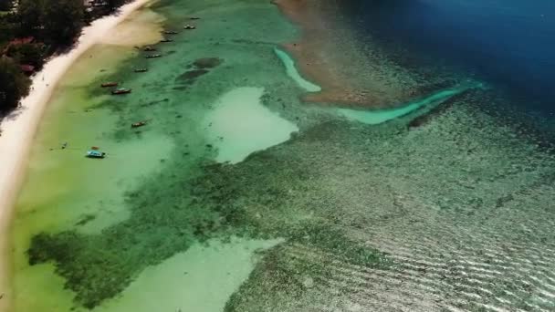 Lodě poblíž pobřeží ostrova. Tradiční barevné rybářské lodě plovoucí na klidné modré vodě v blízkosti bílého písečného pobřeží tropického exotického ráje ostrova. Pohled přes zelené palmové listy. Koh Phangan — Stock video