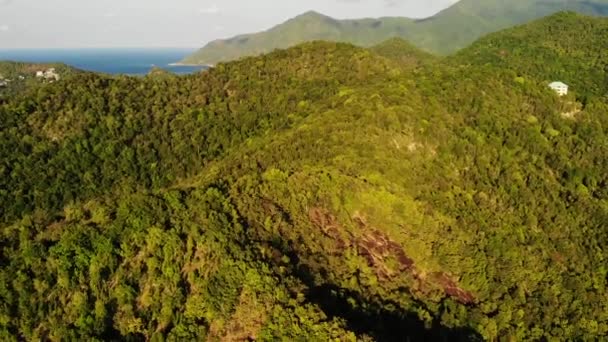Trooppinen metsä saarella. Fantastic drone näkymä vihreä viidakko vuoren harjanteella hämmästyttävä trooppinen saari. Sininen meri. Eksoottinen paratiisi panoraama sademetsän . — kuvapankkivideo