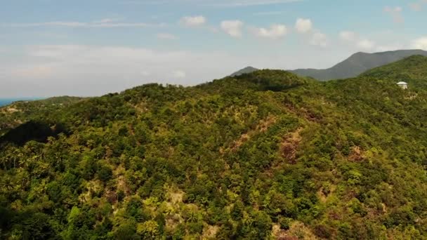 Bosque tropical en la isla. Fantástica vista del dron de la selva verde en la cresta de la montaña de la isla tropical increíble. Mar Azul. Paraíso exótico panorama de selva tropical . — Vídeos de Stock