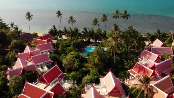 Oosterse huizen aan de kust. Drone-weergave van mooie oosterse huisjes en groene kokospalmen gelegen aan de kust van de kalme zee op zonnige dag op Resort — Stockvideo