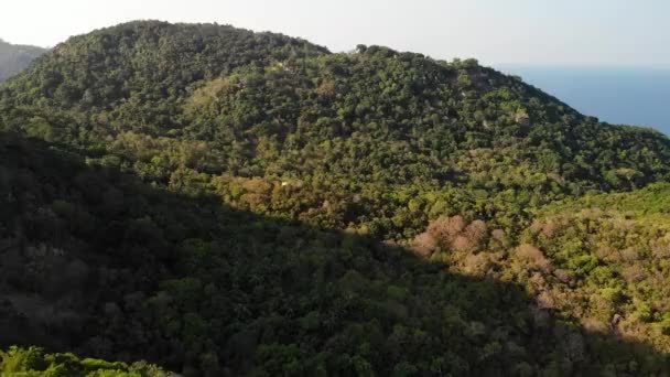 Djungel och berg av tropiska ön. Drönare utsikt över gröna djungler och enorma stenblock på vulkanisk stenig terräng i Koh Tao Island på solig dag i Thailand — Stockvideo