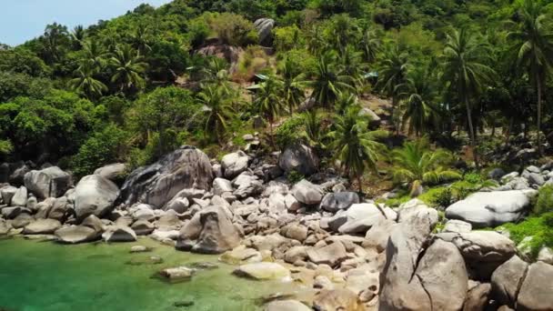 Tropische palmen en stenen op klein strand. Vele groene exotische palmen groeien op rotsachtige kust in de buurt van rustige blauwe zee in Hin Wong Bay op zonnige dag in Thailand. Koh Tao exotisch paradijs eiland. — Stockvideo