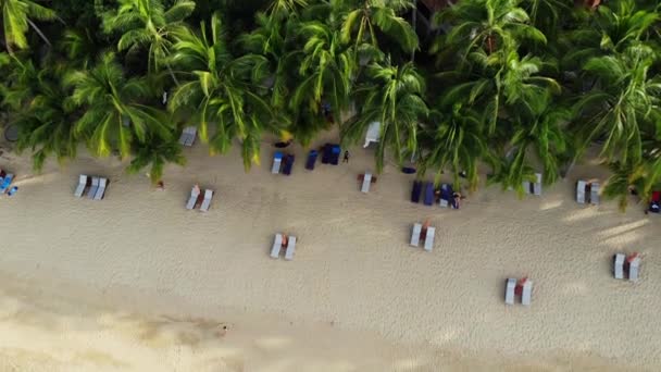 Голубая лагуна и песчаный пляж с пальмами. Вид с воздуха на голубую лагуну и шезлонги на песчаном пляже с кокосовыми пальмами и бунгало на крыше. — стоковое видео