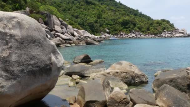 Tropische palmen en stenen op klein strand. Vele groene exotische palmen groeien op rotsachtige kust in de buurt van rustige blauwe zee in Hin Wong Bay op zonnige dag in Thailand. Koh Tao exotisch paradijs eiland. — Stockvideo