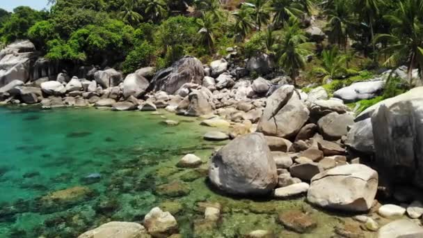 Тропические пальмы и камни на маленьком пляже. Многие зеленые экзотические пальмы растут на скалистом берегу около спокойного синего моря в заливе Хин Вонг в солнечный день в Таиланде. Эзотический райский остров Ко Тао. — стоковое видео