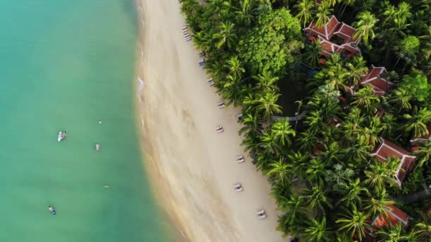 Lagoa azul e praia de areia com palmas. Vista aérea da lagoa azul e espreguiçadeiras na praia arenosa com coqueiros e bangalôs no telhado. — Vídeo de Stock