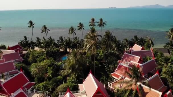 Oriental houses on seashore. Drone view of lovely oriental cottages and green coconut palms located on coast of calm sea on sunny day on resort — Stock Footage Oriental houses on seashore. Drone view of lovely oriental cottages and green coconut palms located on coast of calm sea on sunny day on resort Video Clip