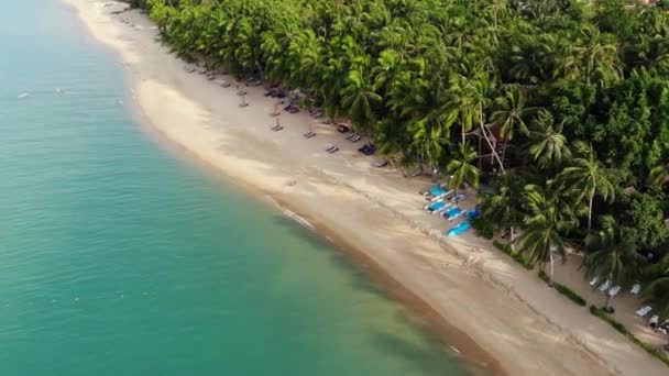 Blauwe lagune en zandstrand met palmen. Luchtfoto van blauwe lagune en ligbedden op zandstrand met kokospalmen en dakbungalows. — Stockvideo