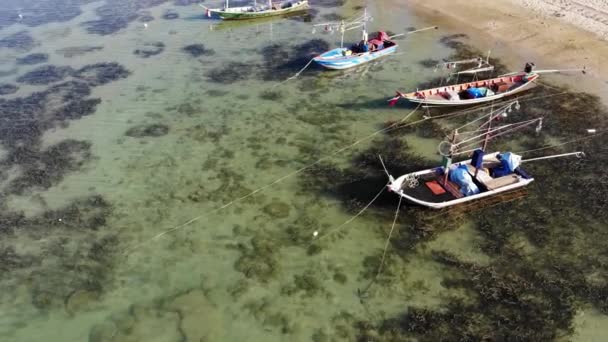 Barcos de pesca cerca de la costa. Varios barcos de pesca de colores flotando cerca de la costa en el agua de mar en el país tropical. Drone vista superior océano playa paisaje con amarre madera tradicionales barcos de pesca — Vídeos de Stock