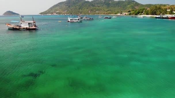 Perahu di laut tenang di pelabuhan. Pandangan Drone tentang kapal nelayan dan menyelam mengambang di permukaan laut biru yang tenang di pelabuhan surga tropis eksotis Pulau Koh Tao pada hari yang cerah di Thailand — Stok Video
