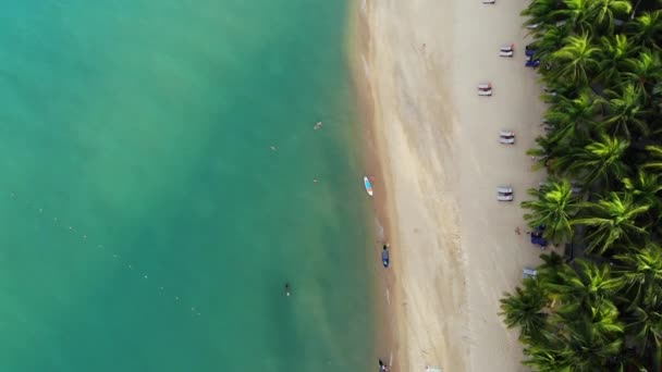 Blå lagun och sandstrand med handflator. Flygfoto över blå lagun och solstolar på sandstrand med kokospalmer och takbungalows. — Stockvideo