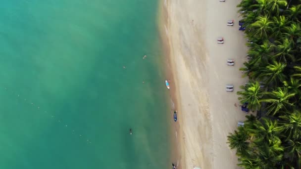 Laguna blu e spiaggia sabbiosa con palme. Veduta aerea della laguna blu e lettini sulla spiaggia sabbiosa con palme da cocco e bungalow sul tetto. — Video Stock