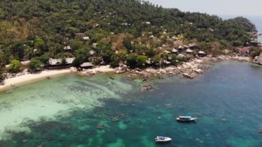 Limandaki sakin denizde tekneler. Tayland 'da güneşli bir günde, tropik egzotik cennet limanında mavi denizin sakin yüzeyinde yüzen balıkçı ve dalış teknelerinin insansız hava aracı görüntüsü.
