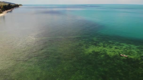 Palmer på stranden nära blått hav. Drone utsikt över tropiska kokospalmer växer på sandstranden av rent blått hav på resort — Stockvideo