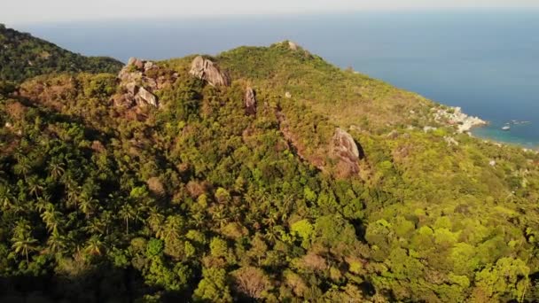 Dzsungelek és trópusi szigetek hegyei. Drone kilátás zöld dzsungel és hatalmas sziklák vulkanikus sziklás terepen Koh Tao Island napsütéses napon Thaiföldön — Stock videók