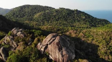 Tropik adanın ormanları ve dağları. Tayland 'ın güneşli bir gününde Koh Tao Adası' nın volkanik kayalık arazisindeki yeşil ormanların ve dev kayaların insansız hava aracı görüntüsü.