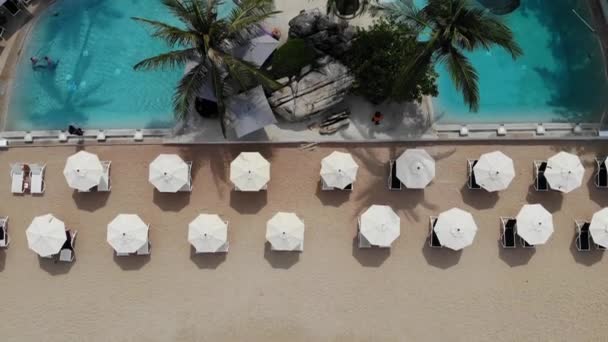 Solbäddar på stranden. Luftutsikt över många Parade solstolar med paraply på öde strand med ren sand. — Stockvideo