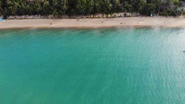 Lagune bleue et plage de sable avec palmiers. Vue aérienne du lagon bleu et des chaises longues sur la plage de sable avec cocotiers et bungalows sur le toit. — Video