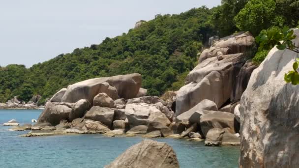 Тропические пальмы и камни на маленьком пляже. Многие зеленые экзотические пальмы растут на скалистом берегу около спокойного синего моря в заливе Хин Вонг в солнечный день в Таиланде. Эзотический райский остров Ко Тао. — стоковое видео