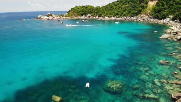 Barche turistiche nella baia tropicale. Drone vista di barche turistiche con subacquei e snorkeling galleggianti su acque calme del mare in Hin Wong Bay di vulcano tropicale Koh Tao Island in Thailandia. — Video Stock