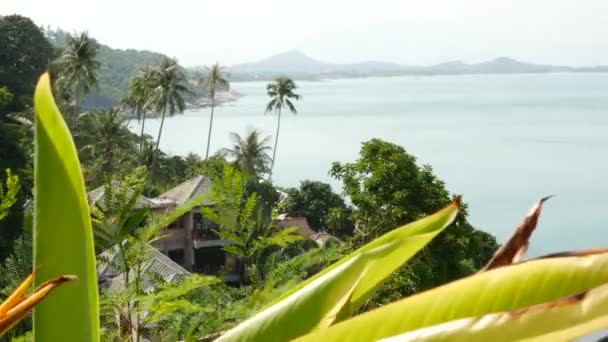 Бунгало и пальмы на берегу моря. Крыши коттеджей и зеленых пальм, расположенных на побережье спокойного моря на тропическом курорте — стоковое видео