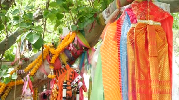 Ropa de ofrenda colorida en el árbol cerca del altar. Ramo de ropa tradicional brillante como regalo a los espíritus tailandeses que cuelgan en ramas de árboles cerca del altar animista — Vídeo de stock