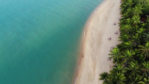 Błękitna laguna i piaszczysta plaża z palmami. Widok z lotu ptaka błękitnej laguny i leżaków na piaszczystej plaży z palmami kokosowymi i bungalowami na dachu. — Wideo stockowe