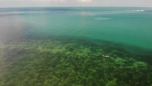 青い海の近くのビーチでヤシの木。リゾートのきれいな青い海の砂浜で育つ熱帯ヤシのドローンビュー — ストック動画